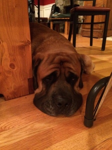 Really sad under the table